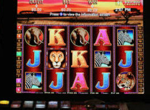 壹号娱乐2024最新版